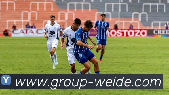 伟德体育平台生态图