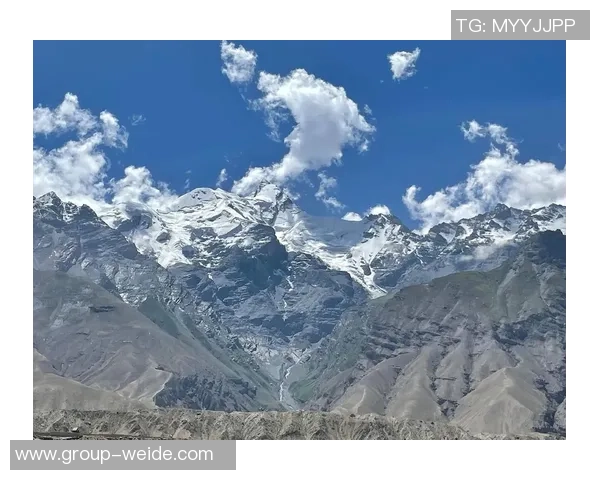 半岛都市报：新疆男篮状态平平今晚雄鹰力争首次突破天山高峰